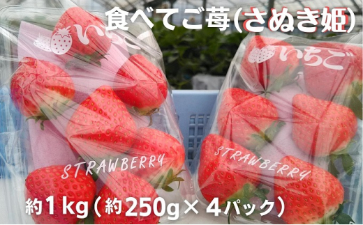 食べてご苺（さぬき姫）約1kg（約250g×4パック） 553650 - 香川県観音寺市