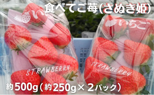 食べてご苺(さぬき姫)約500g(約250g×2パック)