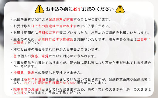 No.5657-3253]【先行受付】特大ナガノパープル１房入り（なんと1房700g