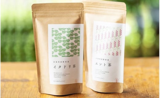 森の茶屋セット （エント茶+イタドリ茶）