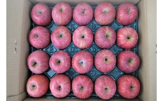りんご（サンふじ）５ｋｇ　２０玉　特秀品　0056-2225