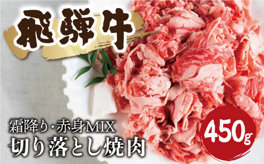 【訳あり】飛騨牛 霜降り 赤身 ミックス 切り落とし 焼肉 450ｇ 牛肉 和牛 バラ モモ カタ  飛騨市