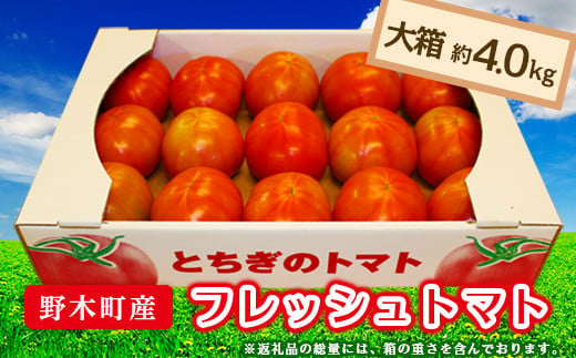 T03 栃木県野木町産トマト大箱（約4kg）