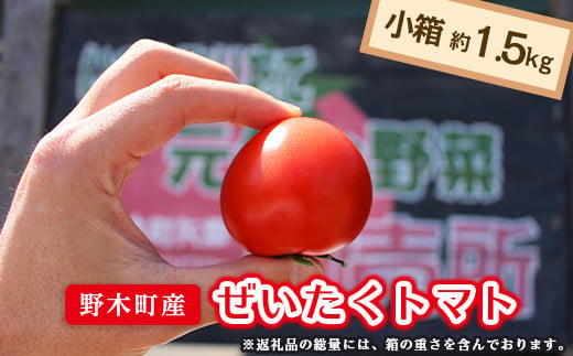 T06 栃木県野木町産ぜいたくトマト（約1.5kg）