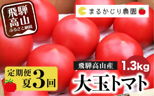 事前予約 飛騨高山産 大玉トマト 1.3キロ箱 3回お届け 毎月1回（8～10