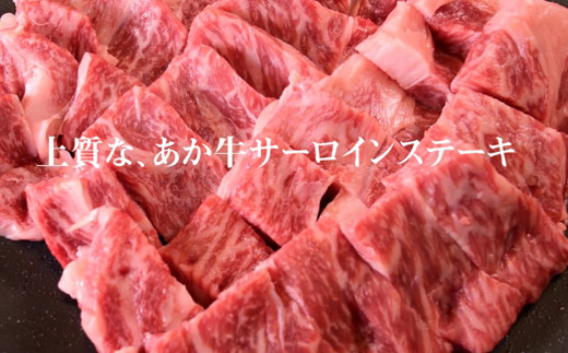 あか牛 阿蘇溶岩焼きセット（ にんにく レモンステーキ 300g×2枚）溶岩プレート付き