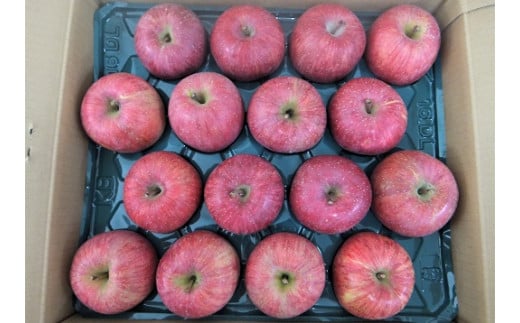 りんご（サンふじ）５ｋｇ　１４～１８玉　特秀品　0056-2227