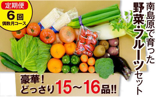 豪華！野菜セット定期便 6回【偶数月コース】 旬の野菜・フルーツ・キノコを15～16品目 盛り合わせ！