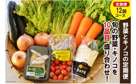野菜とキノコの定期便 12回【毎月コース】 旬の野菜・キノコを10品目 盛り合わせ！ 野菜セット