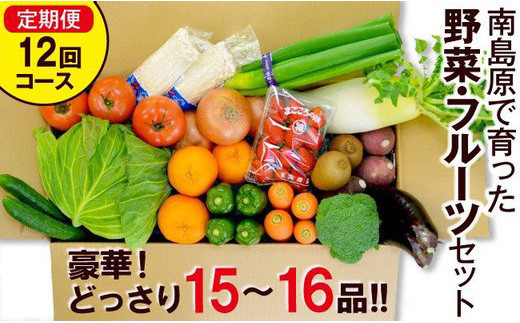 豪華！野菜セット定期便 12回【毎月コース】 旬の野菜・フルーツ・キノコを15～16品目 盛り合わせ！