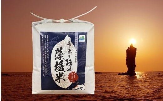 29 島の香り 隠岐藻塩米「きぬむすめ」 3kg
