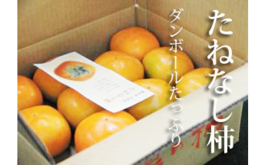 たねなし柿ダンボール 5kg(18〜25コ程度)