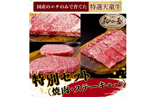 06J2101　農林水産大臣賞受賞　特選天童牛和の奏特別セット(焼肉・ステーキセット)