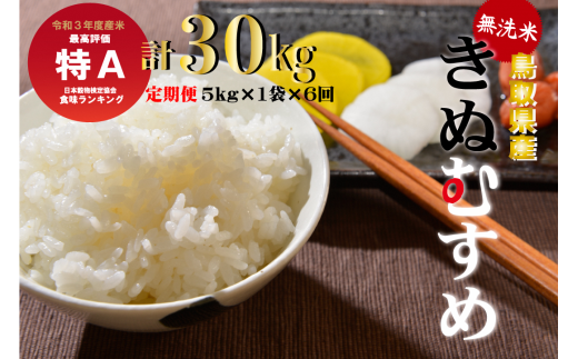 ＜無洗米＞鳥取県産きぬむすめ６回定期便（5kg×6回）令和５年産 新米 お米 米 こめ コメ 無洗米 きぬむすめ 定期便