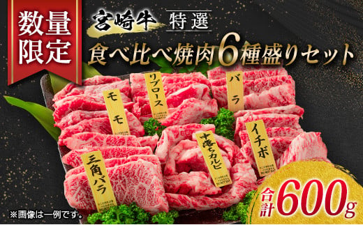 EB6-21 数量限定≪特選≫宮崎牛食べ比べ焼肉6種盛りセット(合計600g)　 肉　牛　牛肉