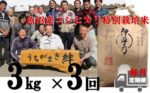 魚沼産コシヒカリ特別栽培米「伊乎乃」定期便3kg×3回（3か月連続お届け）