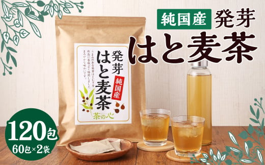 国産 はと麦茶 420g（7g×60包）×2袋 麦茶 はと麦 お茶 335305 - 熊本県宇城市