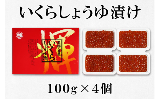 【丸鮮道場水産】有名百貨店でも人気 北海道産昆布味明太子といくら醤油漬け詰合せ（計800g）イクラ 明太子