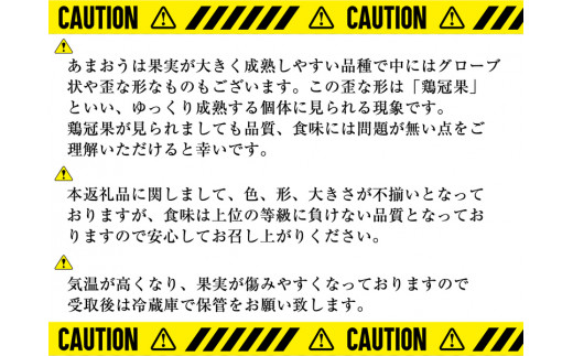 数量限定 福岡県産あまおう16g 270g平パック 6パック Se15 164 福岡県須恵町 ふるさと納税 ふるさとチョイス