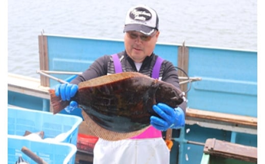 受付は4月30日まで!![2024年発送分]漁師タカシの活締めヒラメ(約2kg〜2.5kg)
