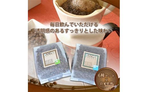 サンガコーヒー〈豆〉100g×6種【1070089】 317445 - 長野県御代田町