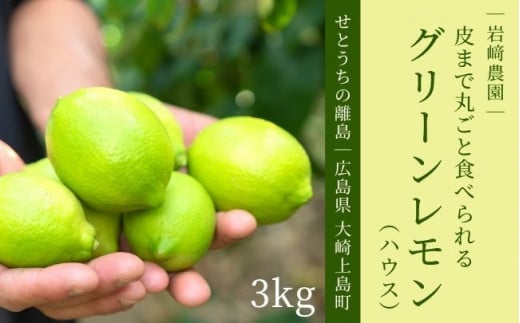 [8〜9月発送] 大崎上島産 皮まで丸ごと食べられるハウスグリーンレモン約3㎏