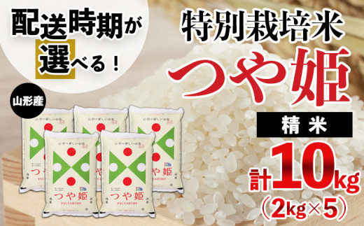 [配送時期が選べる][令和6年産]山形産 特別栽培米 つや姫 10kg(2kg×5)[8月前半(8/1〜8/10出荷)] FZ24-329