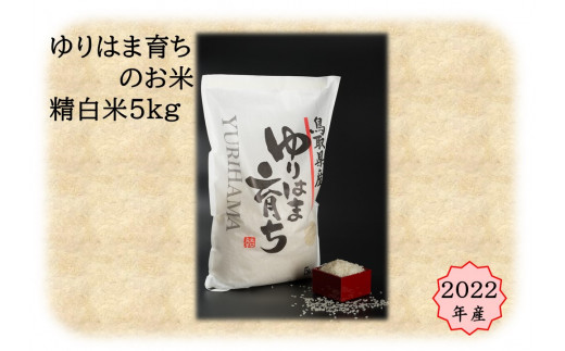 ふるさとチョイス 湯梨浜町 鳥取県 ふるさと納税で選べるお礼の品一覧