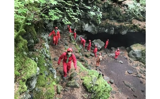 富士山の噴火でできた 青木ヶ原樹海 の溶岩洞窟を探検 山梨県富士河口湖町 ふるさと納税 ふるさとチョイス