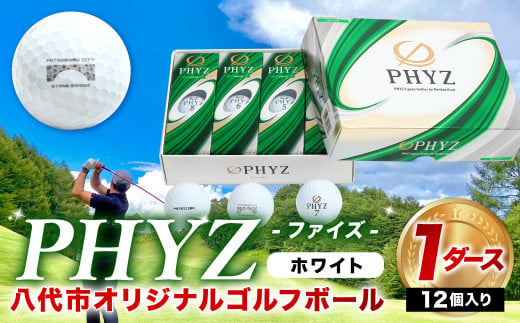 八代市オリジナル 日本遺産 石橋 のゴルフボール Phyz ホワイト 熊本県八代市 ふるさとチョイス ふるさと納税サイト