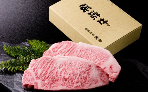 飛騨牛サーロインステーキ 約 計400g（2枚）【冷凍】ブランド牛 牛肉