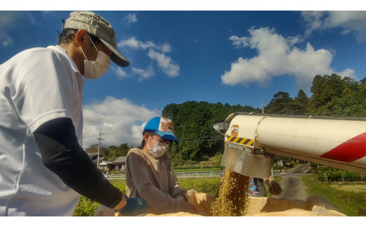 地元の有志「あおやぎ青年隊」が育てたお米を100%使用しています。