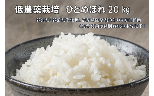 【先行予約】低農薬栽培米　ひとめぼれ 20kg(５㎏×４)