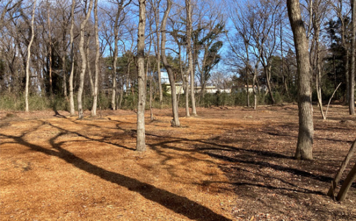 No 268 智光山公園キャンプ場 ソロキャンプサイト利用券 自然 動物園 植物園 アスレチック 埼玉県 埼玉県狭山市 ふるさとチョイス ふるさと納税サイト