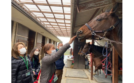 実際に引退競走馬に触れていただき、その温もりを感じていただけます。