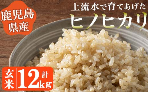 [令和6年産!]鹿児島県産!ヒノヒカリ玄米(12kg) 鹿児島県産 米 お米 玄米 ごはん ヒノヒカリ 小分け[大潟屋][777][776]