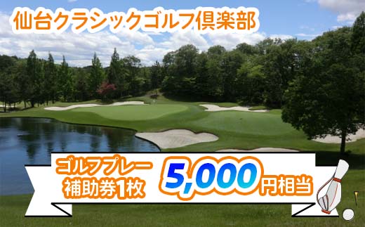 Y6123_腰にやさしいゴルフパター - 和歌山県湯浅町 | ふるさと納税 