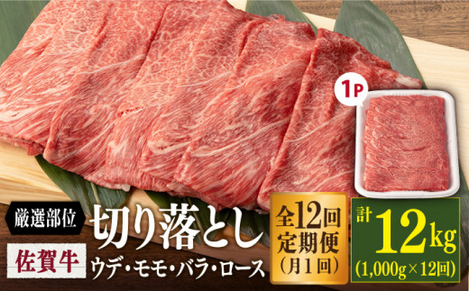 定期便12回】【牧場直送】佐賀産黒毛和牛 赤身焼肉用 600g：C216-004