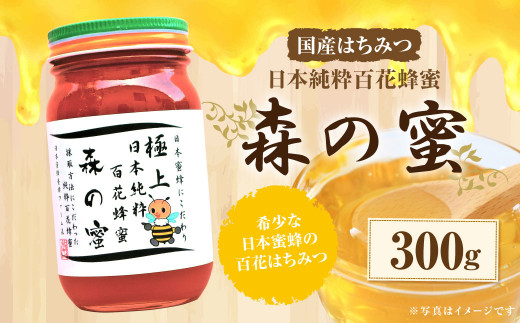 【国産はちみつ】 日本純粋百花蜂蜜「森の蜜」 300g×1本 化粧