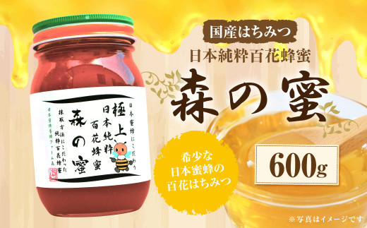 日本純粋百花蜂蜜 「森の蜜」 600g×1本 化粧箱入り アウトレット価格