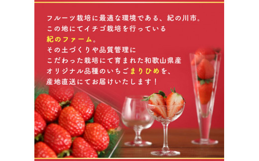 【贈答用/熨斗非対応】 苺 まりひめ 1箱 400g以上 紀のファーム株式会社《12月上旬-2024年5月上旬頃出荷》 和歌山県 紀の川市 秀品