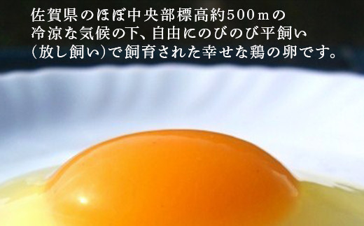 こだわりの厳選された飼料だけを使用。
のびのび飼育された七山の鶏のたまご。
料理のバリエーションも多いので調理も楽しめます。