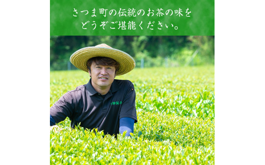 s233 若蒸上煎茶TEA BAG(計40P・3g 5P入×8袋)【柳田製茶】 - 鹿児島県