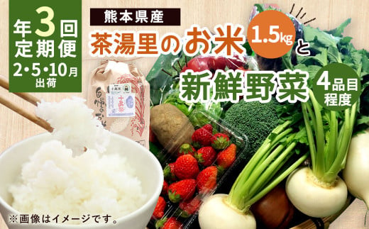 [年3回定期便] 茶湯里の お米 と 新鮮 野菜 定期便
