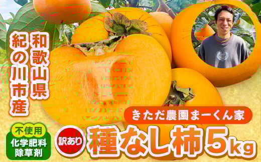【訳あり】まーくん家のたねなし柿 5kg 《2025年9月下旬-10月末頃出荷》 かき 種なし きただ農園まーくん家 和歌山県 紀の川市 ご家庭用