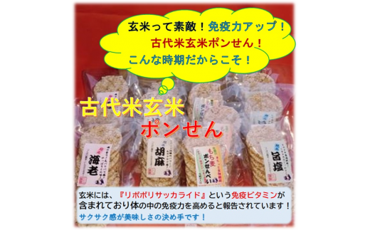 (D5) [石岡セレクト認証品] 古代米玄米ポンせん(10枚入り)4種類12袋