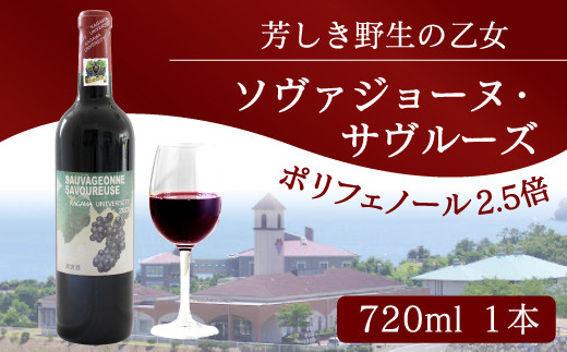 ワイン 赤ワイン 国産 香川県産 ソヴァジョーヌサヴルーズ 赤 1本 香川県さぬき市 ふるさと納税 ふるさとチョイス