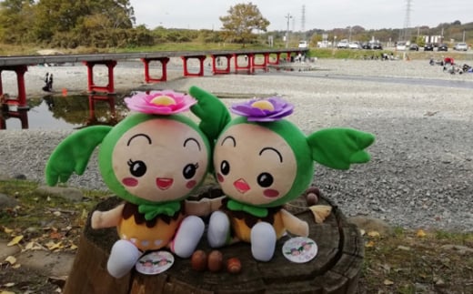 東松山市キャラクター まっくん・あゆみんぬいぐるみセット 【 ゆる