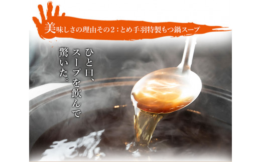 九州名物とめ手羽　博多もつ鍋セット　5-6人前　味噌味