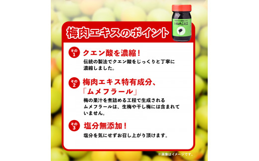 梅肉エキス90g(約1か月分)《90日以内に順次出荷(土日祝除く)》和歌山県